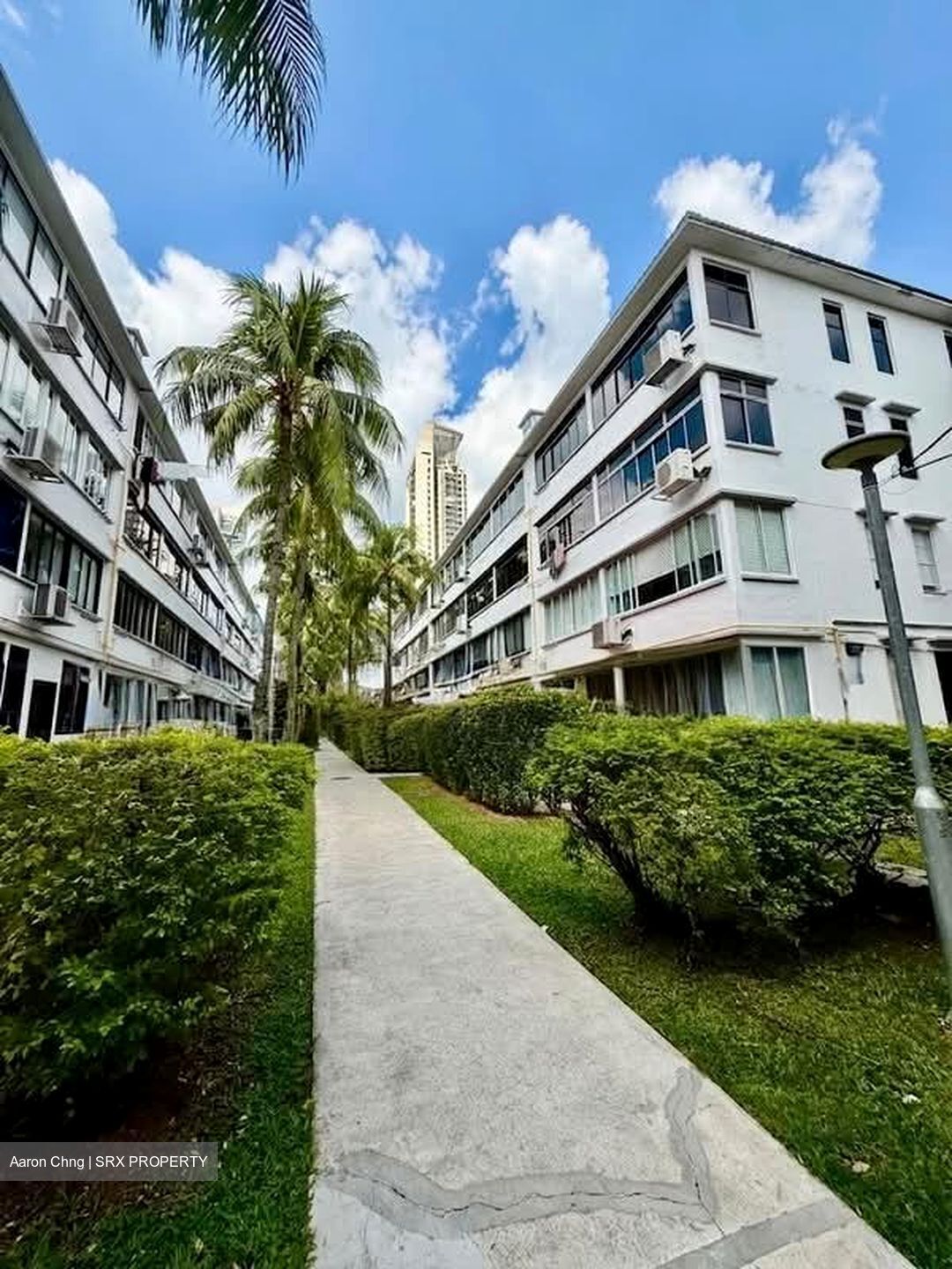 Blk 33 Lim Liak Street (Bukit Merah), HDB 3 Rooms #633389371